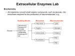 Extracellular Enzymes Lab