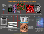 control biological machines