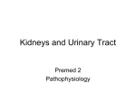 Kidneys and Urinary Tract