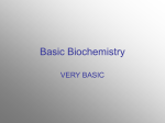 Basic Biochemistry