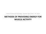 METHODS OF PROVIDING ENERGY for MUSCLE ACTIVITY