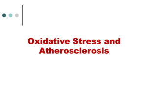 Oxidative Stress