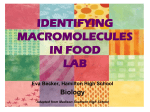 identifying macromolecules in food lab