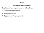 Chapter 8 Expression of Human Genes
