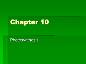 Photosynthesis