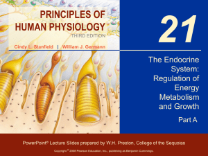 The Endocrine System: Regulation of Energy Metabolism and Growth