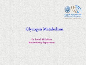 Glycogen Metabolism