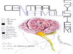 Biochemistry of neurotransmitters