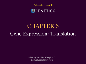 CHAPTER 6 Gene Expression: Translation