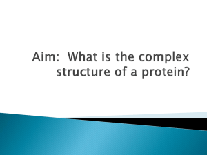 Complex Protein Structure