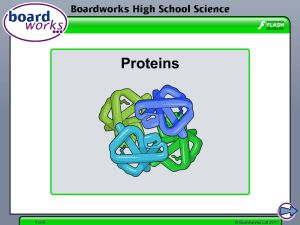 Proteins - Boardworks