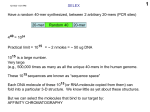 aptamers04