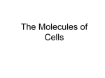 The Molecules of Cells