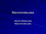 Macromolecules - WordPress.com