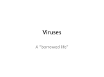 Viruses