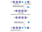 Fatty acid