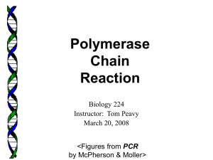 PCR