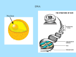 2_DNA_structure