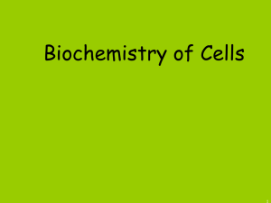 Biochemistry of Cells