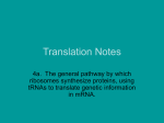 Translation Notes