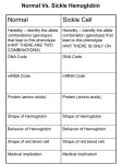 3.1 Sickle Cell Anemia Poster Projects
