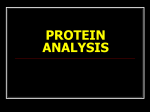 PROTEIN ANALYSIS