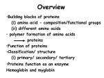 proteins USP