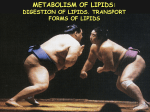 25_Metabolism of lipids digestion, absorption, resynthesis