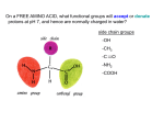 Lab 1 activity, AMINO ACIDS - Cal State LA