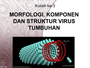Kuliah 3_Virologi
