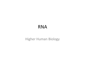 RNA