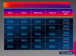 ch.1,2,3JEOPARDY