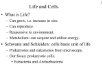 Structure/Function of prokaryotes-1