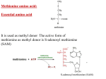 Protein mteabolism L..