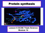 Protein synthesis - Teachnet UK-home