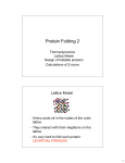 Protein Folding 2 Lattice Model