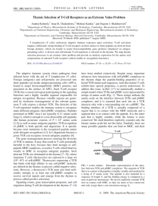 Thymic Selection of T-Cell Receptors as an Extreme Value Problem