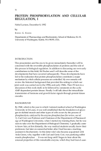 PROTEIN PHOSPHORYLATION AND CELLULAR REGULATION, I by