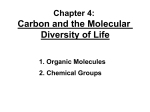 Carbon and the Molecular Diversity of Life Chapter 4: 1. Organic Molecules