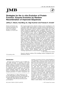 Strategies for the in vitro Evolution of Protein