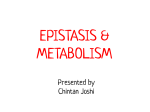 EPISTASIS &amp; METABOLISM Presented by Chintan Joshi