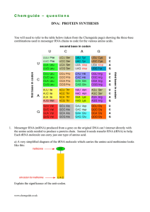 C h e m g u id e   –... DNA:  PROTEIN SYNTHESIS