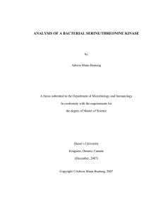 ANALYSIS OF A BACTERIAL SERINE/THREONINE KINASE