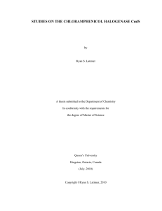 STUDIES ON THE CHLORAMPHENICOL HALOGENASE CmlS