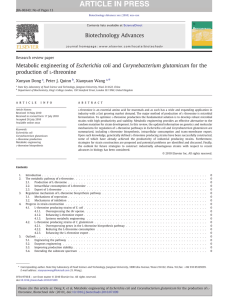 Metabolic engineering of Escherichia coli and Corynebacterium glutamicum for the -threonine