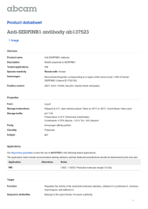 Anti-SERPINB1 antibody ab137523 Product datasheet 1 Image Overview