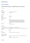 Recombinant Human FAM3D protein ab165342 Product datasheet 1 Image Overview