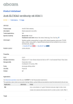 Anti-SLC30A3 antibody ab102611 Product datasheet 1 Abreviews 1 Image