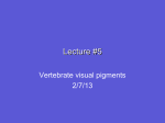 Lecture 5