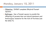 Dihybrid Punnett Squares